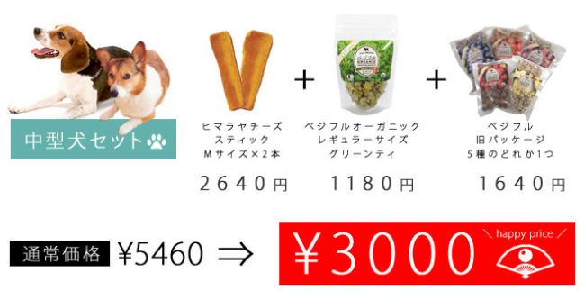 フレンチブルドッグ福袋