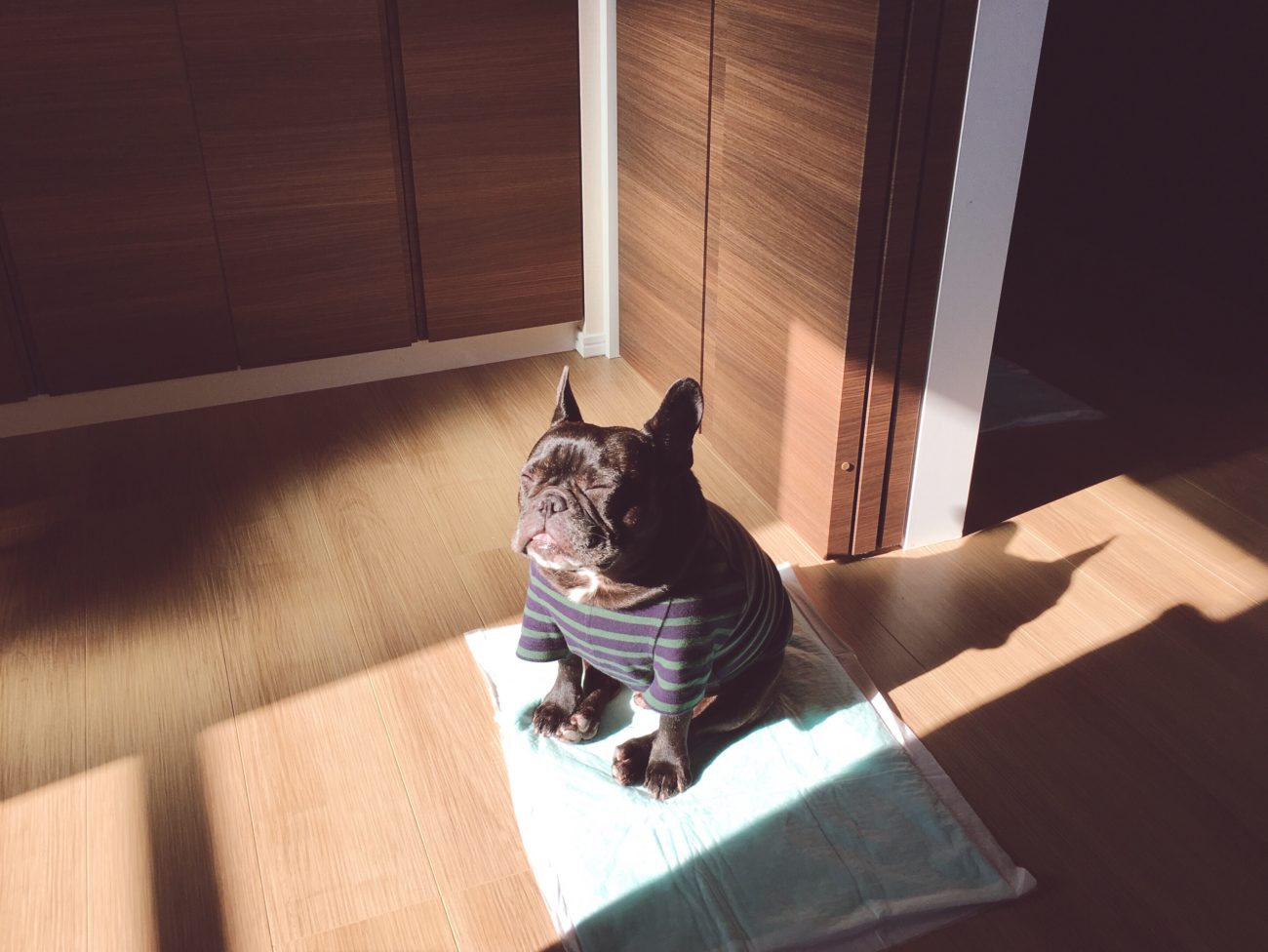 迷子札