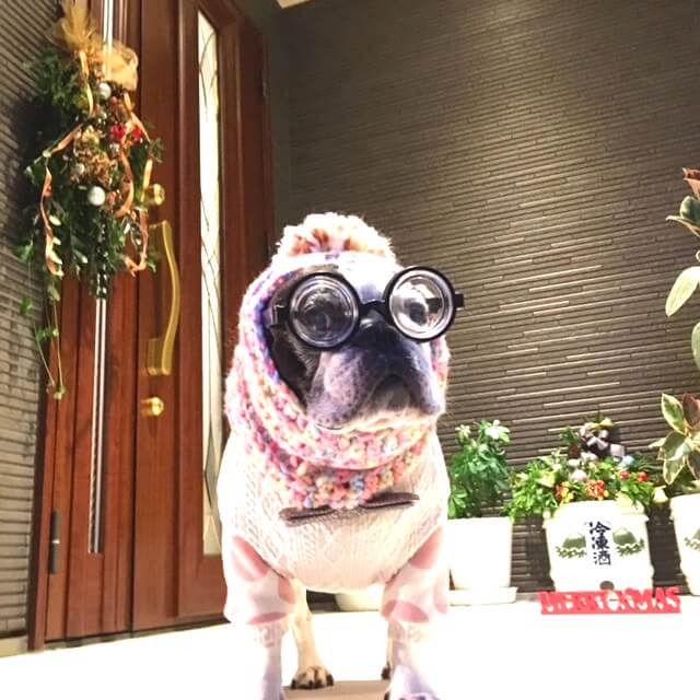 コーデ