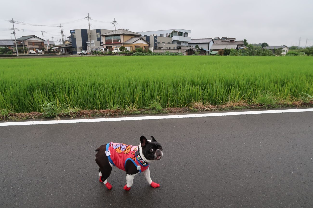 Model:rabi1217(Instagram)