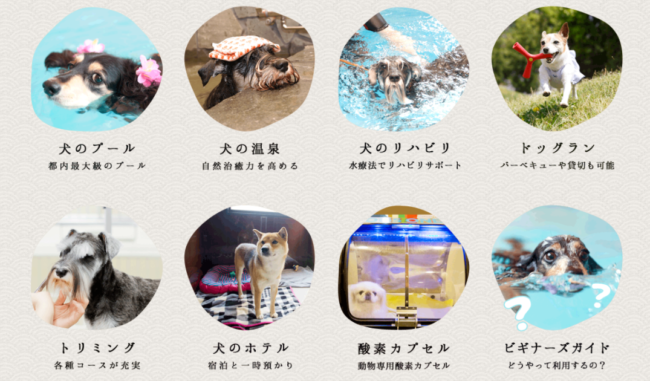 ドッグラン
