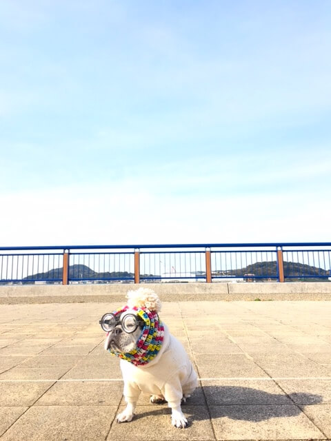 コーデ