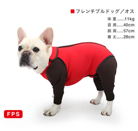 フレンチブルドッグ福袋