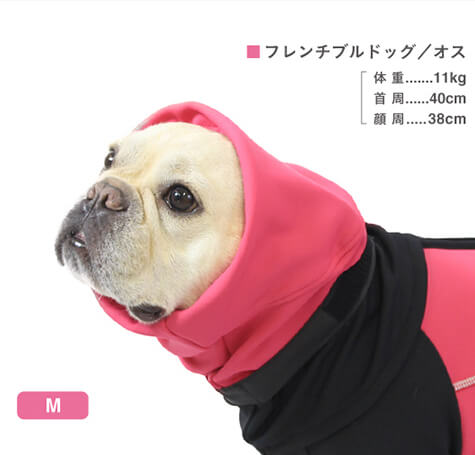 フレンチブルドッグ福袋