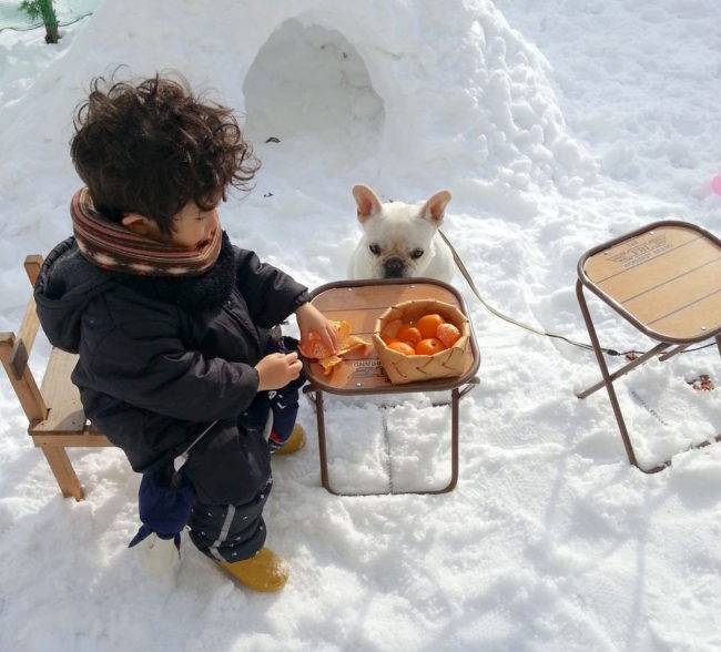 雪とフレブル