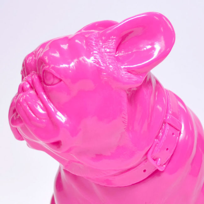 いきむ犬フレンチブルドッグ