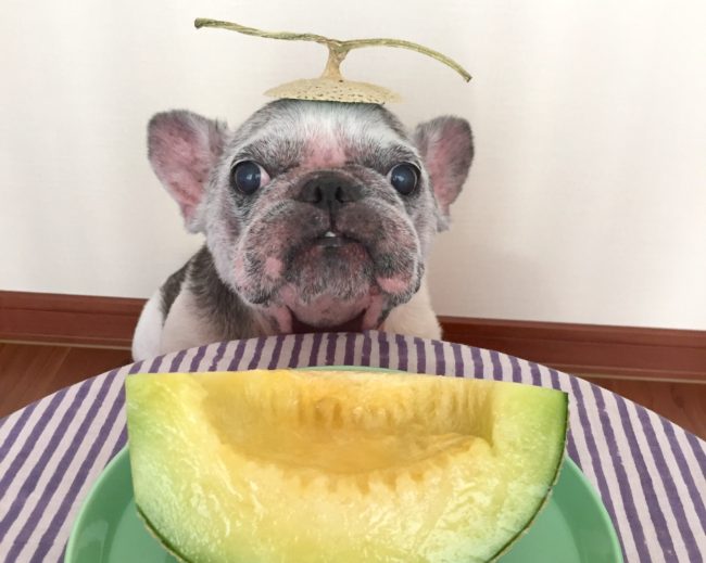 ご長寿