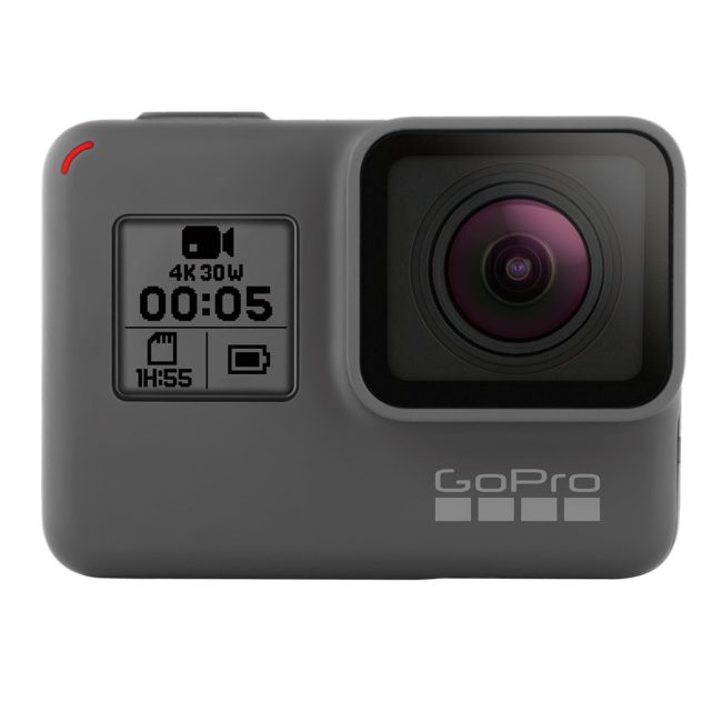 フレンチブルドッグ GoPro