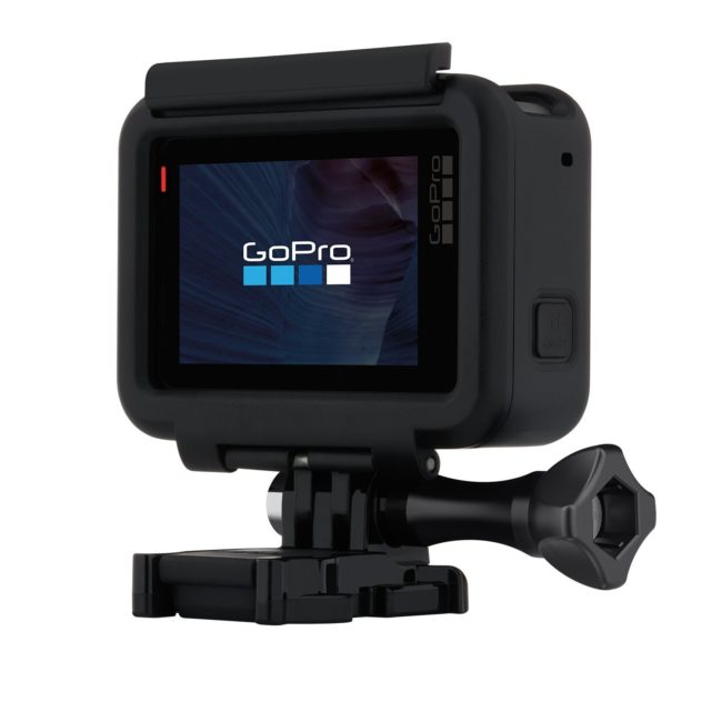 フレンチブルドッグ GoPro