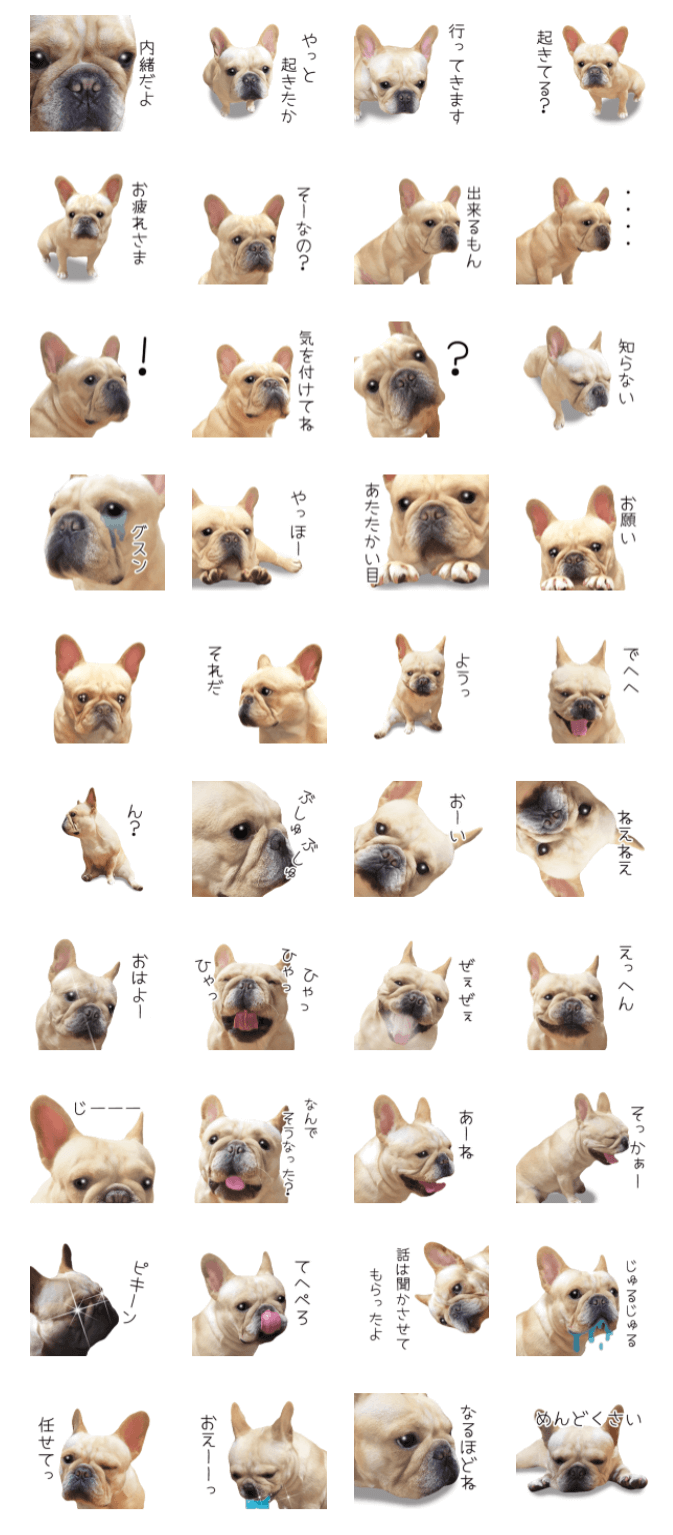 フレンチブルドッグLINEスタンプ