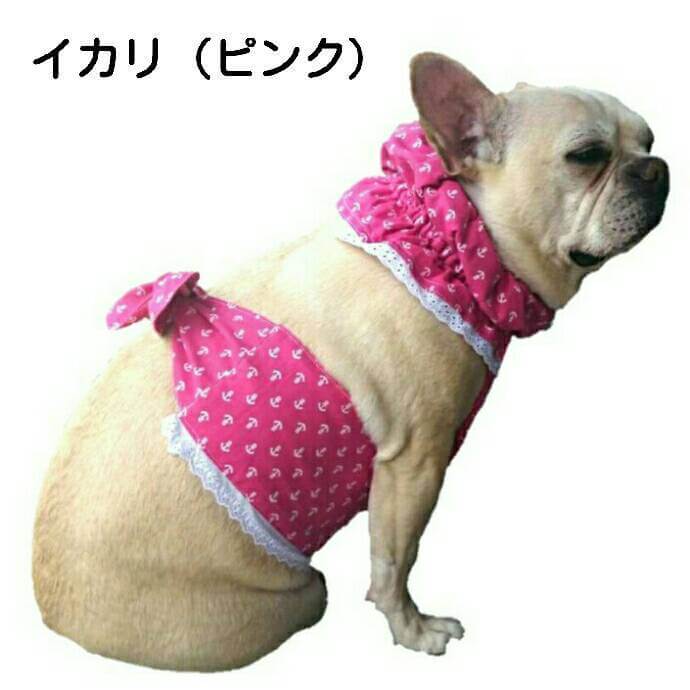 フレンチブルドッグクール